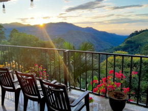 Golden View Guest